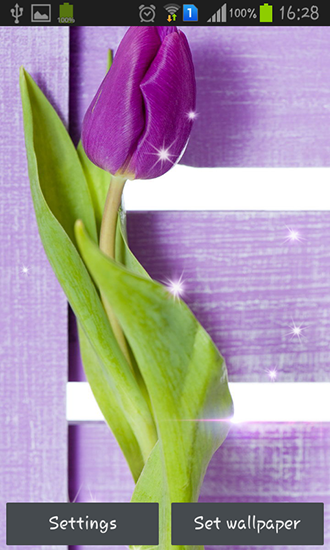Purple tulips apk - free download.