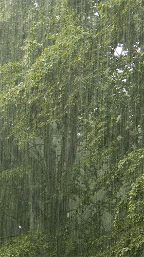 Screenshots of the live wallpaper Real rain for Android phone or tablet.