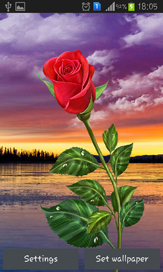 Rose: Magic touch apk - free download.