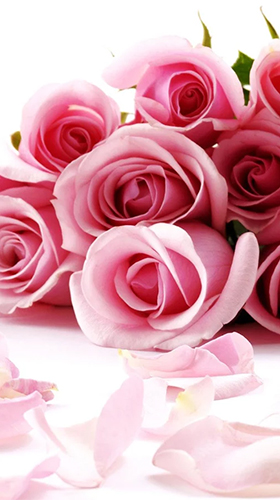 Screenshots of the live wallpaper Roses 3D by Happy live wallpapers for Android phone or tablet.