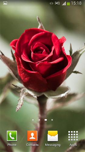 Screenshots of the live wallpaper Roses by Cute Live Wallpapers And Backgrounds for Android phone or tablet.
