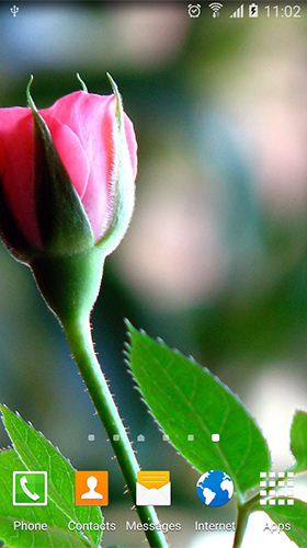 Screenshots of the live wallpaper Roses by Live Wallpapers 3D for Android phone or tablet.