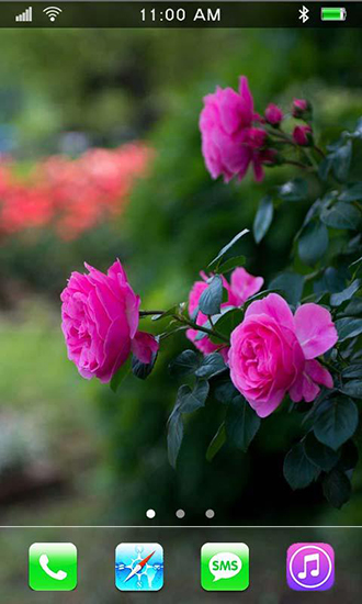 Roses: Paradise garden apk - free download.