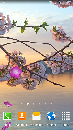 Sakura gardens apk - free download.