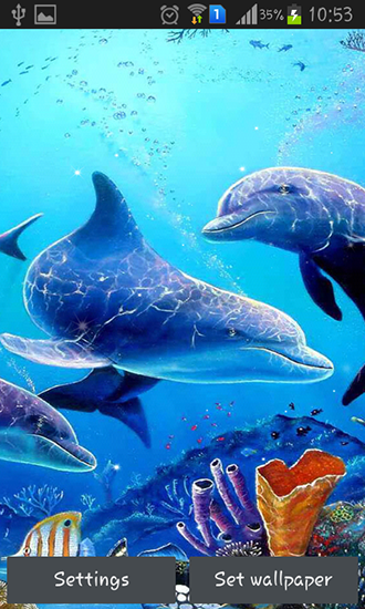 Sea dolphin apk - free download.