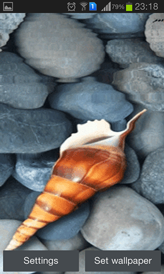 Seashell by Memory lane apk - free download.
