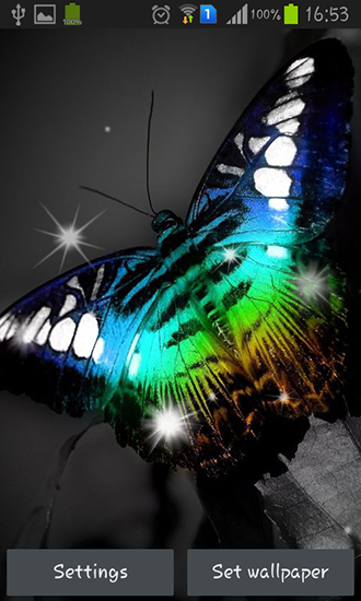 Shiny butterfly apk - free download.