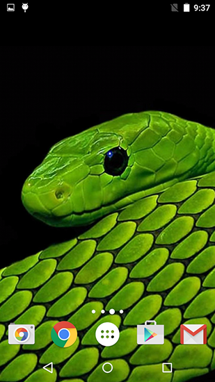 Snakes by Fun live wallpapers apk - free download.