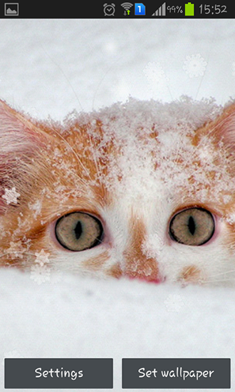 Snow cats apk - free download.