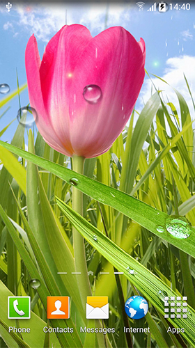 Screenshots of the live wallpaper Spring by Amax LWPS for Android phone or tablet.