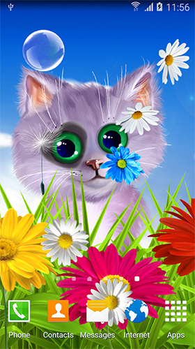 Screenshots of the live wallpaper Spring cat for Android phone or tablet.