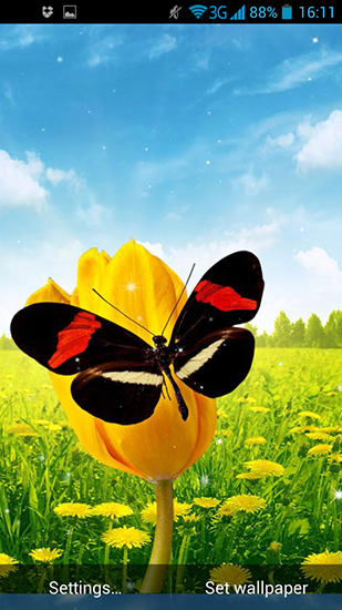 Spring butterflies apk - free download.