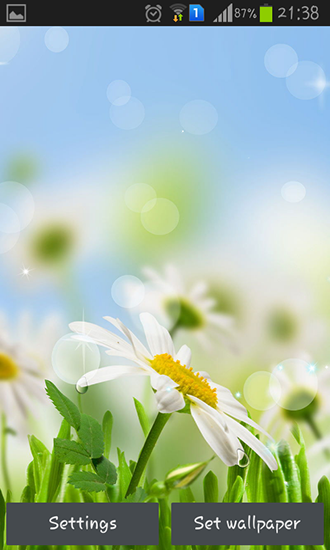 Spring flower apk - free download.