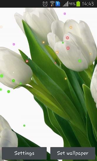 Springs lilie and tulips apk - free download.