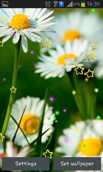 Summer camomile apk - free download.