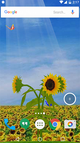 Screenshots of the live wallpaper Sunflower 3D for Android phone or tablet.