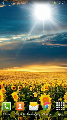Screenshots of the live wallpaper Sunflowers for Android phone or tablet.
