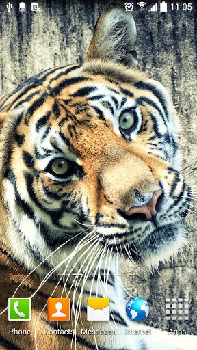 Tiger by Amax LWPS apk - free download.