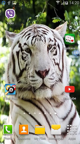 Tigers: shake and change apk - free download.