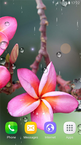 Screenshots of the live wallpaper Tropical flowers for Android phone or tablet.