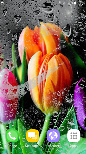 Screenshots of the live wallpaper Tulips by Live Wallpapers 3D for Android phone or tablet.
