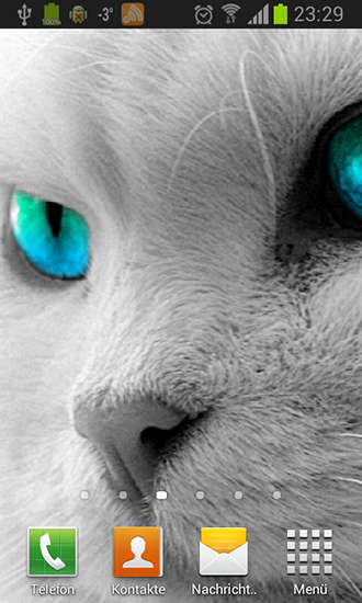 White cats apk - free download.
