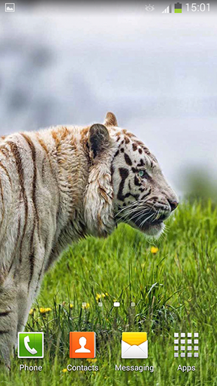 White tiger apk - free download.