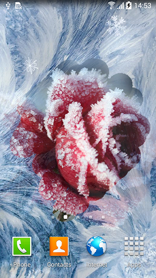 Winter flowers apk - free download.