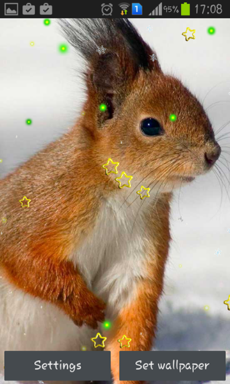 Winter squirrel apk - free download.