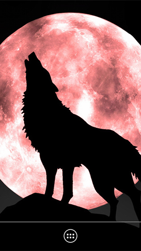 Screenshots of the live wallpaper Wolf by orchid for Android phone or tablet.
