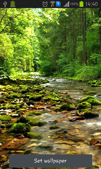 Wonderful forest river apk - free download.