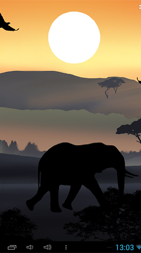 Full version of Android apk livewallpaper African sunset for tablet and phone.
