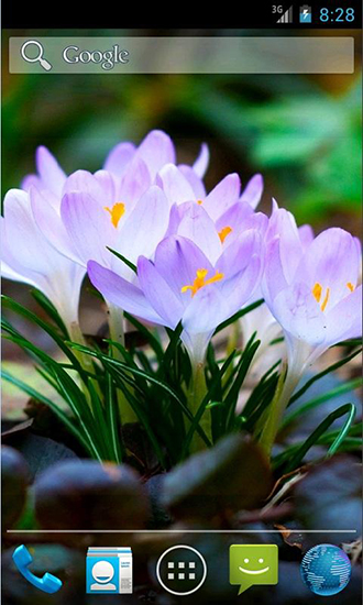 Screenshots of the live wallpaper Amazing spring flowers for Android phone or tablet.