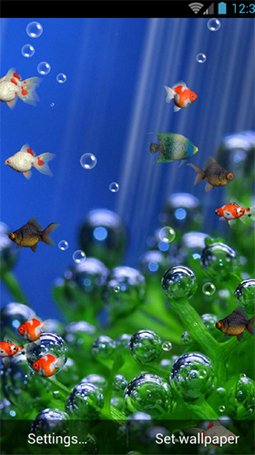 Full version of Android apk livewallpaper Aquarium by minatodev for tablet and phone.