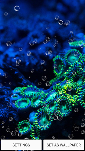 Full version of Android apk livewallpaper Aquarium by Top Live Wallpapers for tablet and phone.