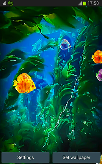 Screenshots of the live wallpaper Aquarium 3D by Pups apps for Android phone or tablet.