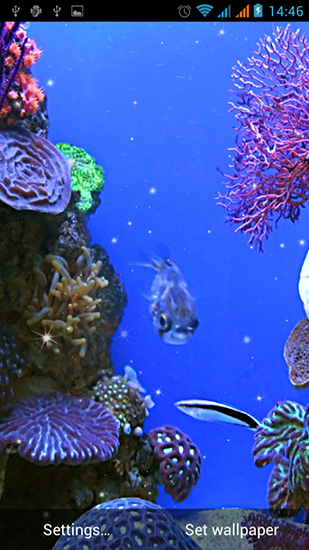 Screenshots of the live wallpaper Aquarium by Best Live Wallpapers Free for Android phone or tablet.