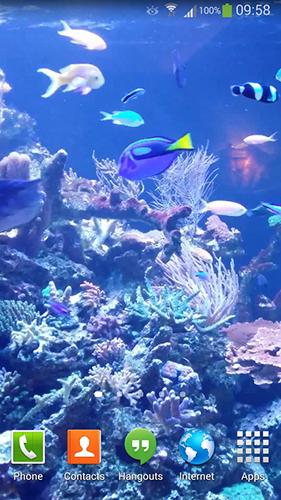 Screenshots of the live wallpaper Aquarium HD 2 for Android phone or tablet.