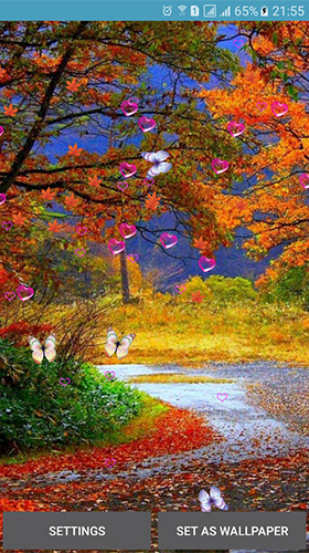Full version of Android apk livewallpaper Autumn by 3D Top Live Wallpaper for tablet and phone.