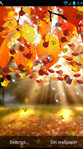 Full version of Android apk livewallpaper Autumn by minatodev for tablet and phone.