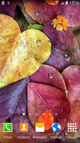 Full version of Android apk livewallpaper Autumn HD by BlackBird Wallpapers for tablet and phone.