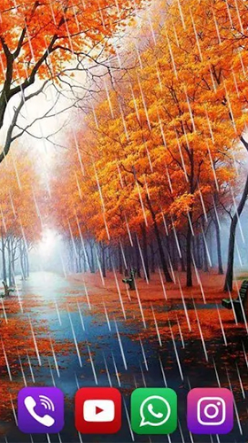Full version of Android apk livewallpaper Autumn rain by SweetMood for tablet and phone.