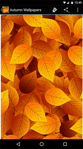 Full version of Android apk livewallpaper Autumn wallpapers by Infinity for tablet and phone.