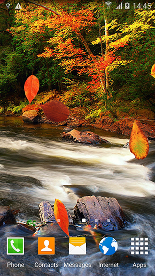 Screenshots of the live wallpaper Autumn forest for Android phone or tablet.