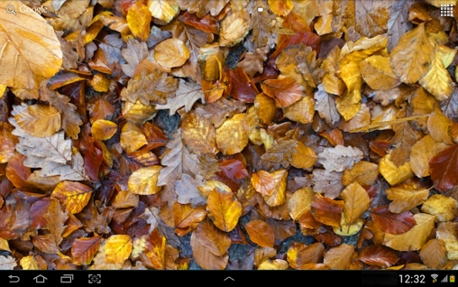Screenshots of the live wallpaper Autumn leaves 3D for Android phone or tablet.