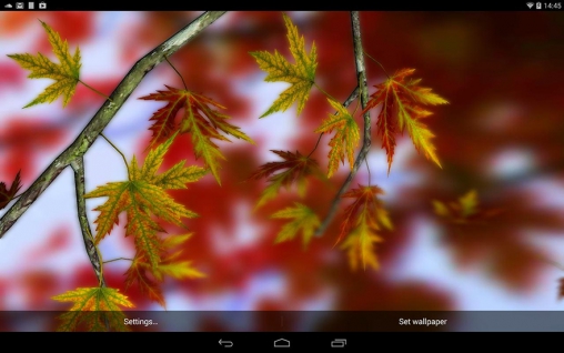 Screenshots of the live wallpaper Autumn leaves 3D by Alexander Kettler for Android phone or tablet.
