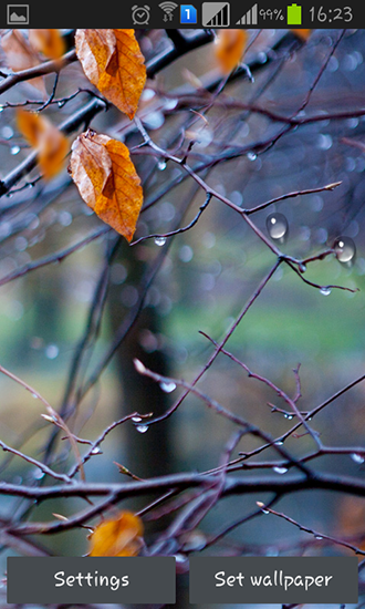 Screenshots of the live wallpaper Autumn raindrops for Android phone or tablet.