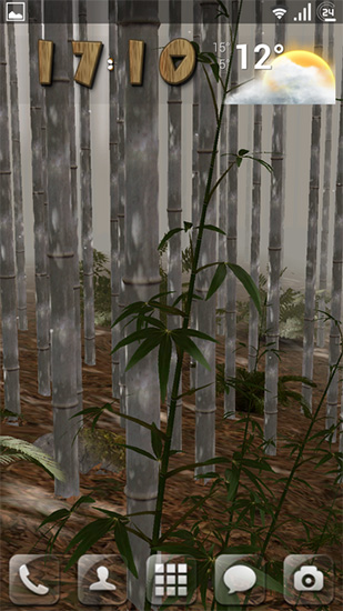 Screenshots of the live wallpaper Bamboo grove 3D for Android phone or tablet.