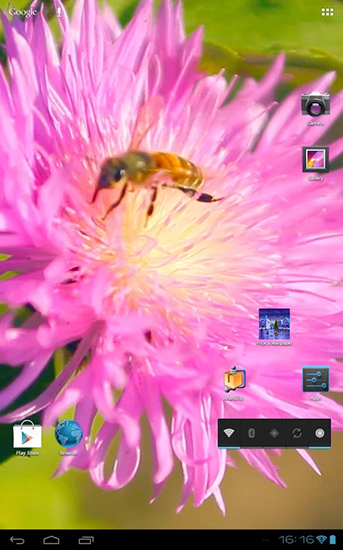 Screenshots of the live wallpaper Bee on a clover flower 3D for Android phone or tablet.
