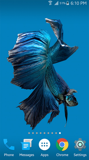 Full version of Android apk livewallpaper Betta Fish 3D for tablet and phone.